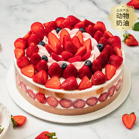 【超多草莓】香颂蛋糕，满满的草莓吃到爽，轻松治愈负能量（青州幸福西饼蛋糕）