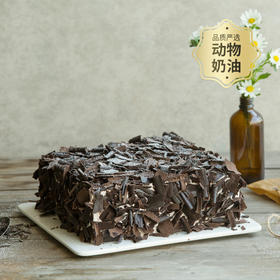 单恋黑森林 动物奶油蛋糕（福州幸福西饼蛋糕HD）