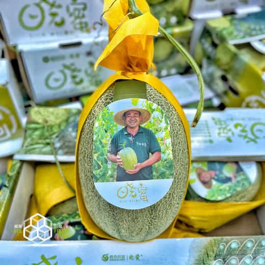 【正宗晓蜜】胜杰丝路晓蜜，哈密瓜，脆甜口感，瓜瓤黄色，甜度非常高，多汁又好吃！ 商品图0