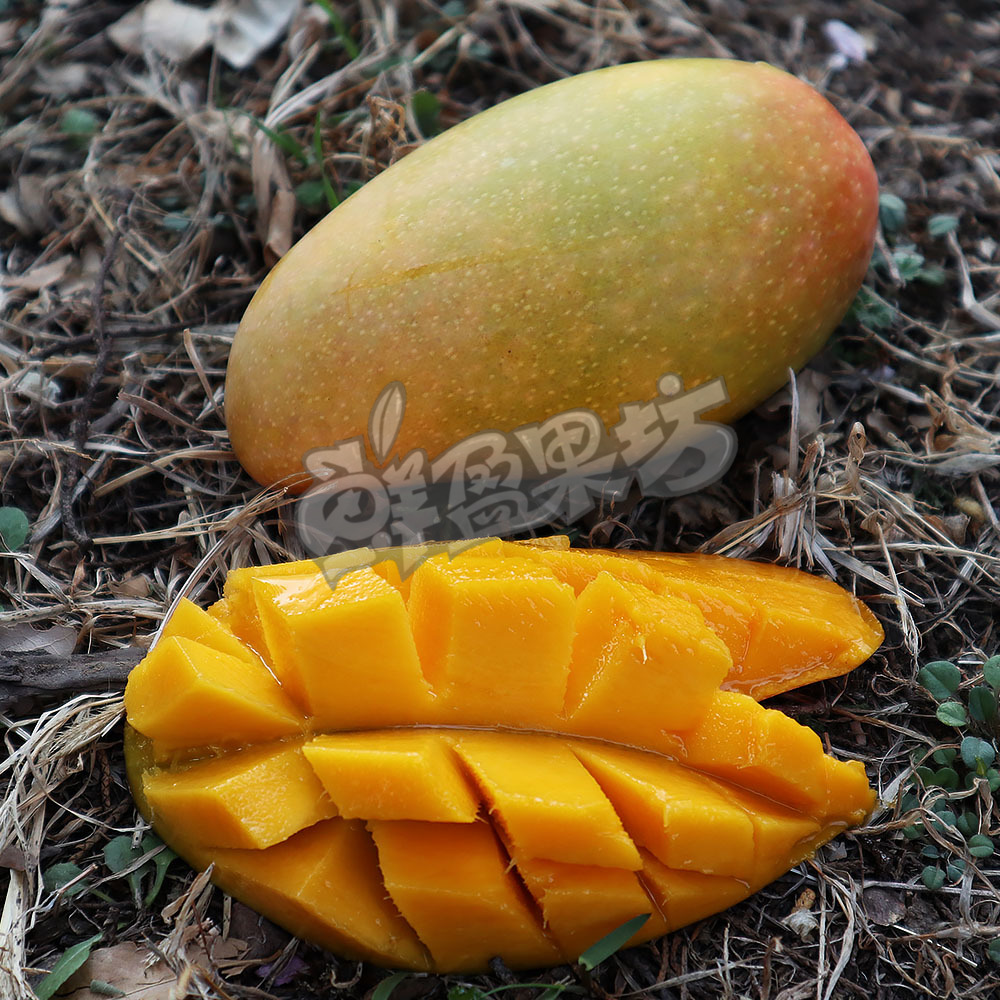 海南空运贵妃芒