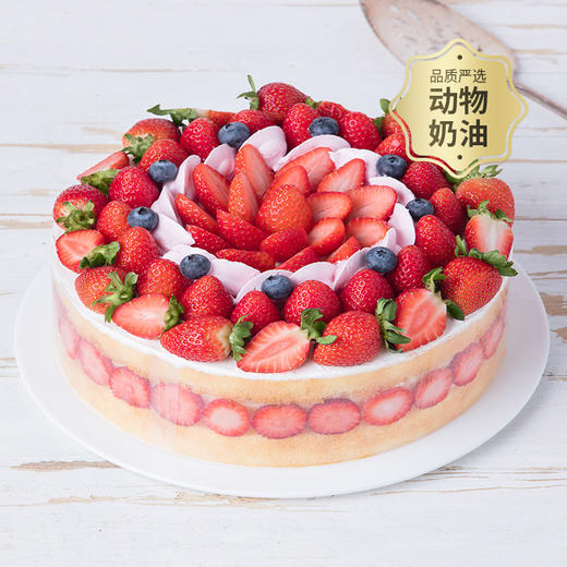  香颂蛋糕（周口） 商品图0