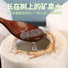 泰国易开椰青 商品缩略图1