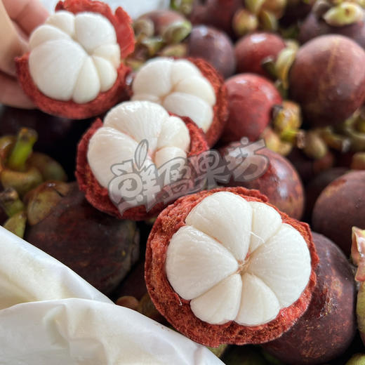 空运4A老树山竹 商品图1