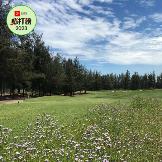 岘港蒙哥马利高尔夫俱乐部 Montgomerie Links Golf club Vietnam | 越南高尔夫球场 俱乐部 | 岘港高尔夫 商品图0