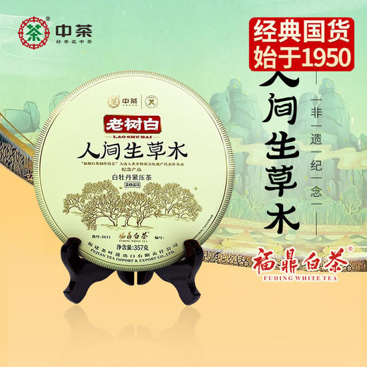 中粮-中茶2023年福鼎白茶蝴蝶老树白人间生草木白牡丹白茶357g/饼((限量发行/从茶园到茶杯) 商品图7