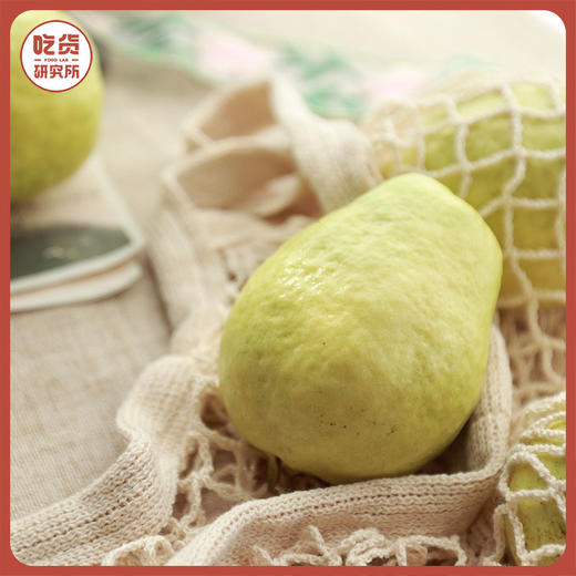 【奶油丝滑 清香软糯】福建奶油芭乐/红心芭乐 4.5斤礼盒装（8-13个左右） 商品图1
