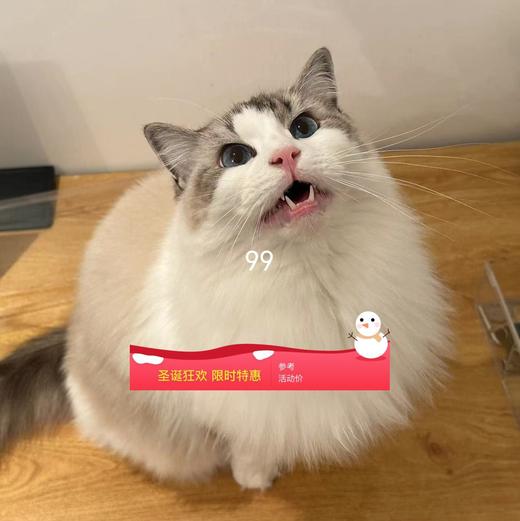 盈盈测试2 商品图0