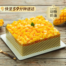 【超多芒果肉】芒果茫茫蛋糕，满满的新鲜芒果肉，超级满足（上海幸福西饼蛋糕59分快送）