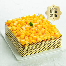【超多芒果肉】芒果茫茫蛋糕，满满的新鲜芒果肉，超级满足（北京幸福西饼蛋糕）