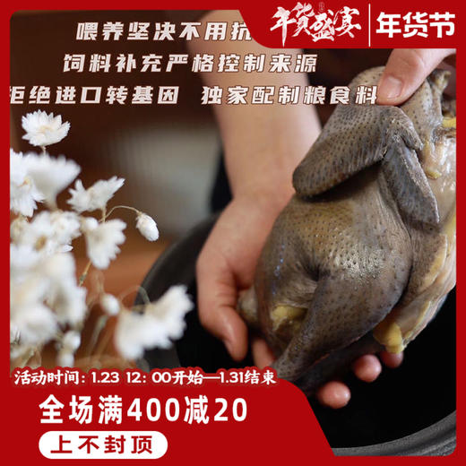 【精品五黑鸡母鸡山林散养两年以上】砂锅伴侣鸡汤清澈不浑浊口感紧实不柴（处理后每只净重1.75~2.1斤） 商品图7