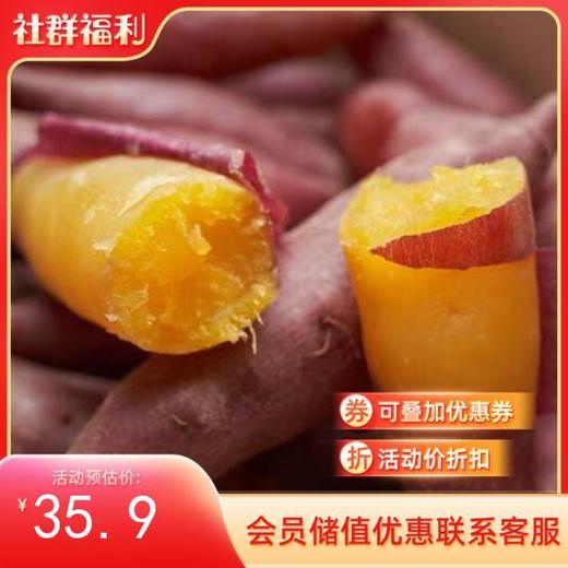 临安天目正宗“手指”小香薯 没有粗硬纤维感 口感像板栗【社群】 商品图1