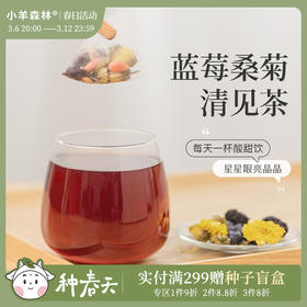 【蓝莓桑菊饮】清见茶 古方复配 润泽双眼 温和无负担