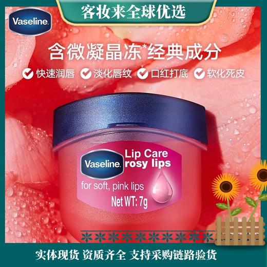 美国凡士林(Vaseline)润唇膏 经典修护 玫瑰花蕾味 7g 商品图0