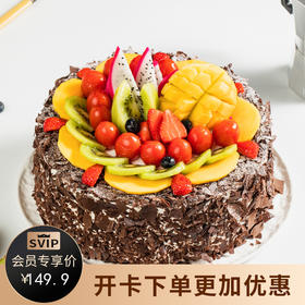 【经典美味】森林果乐蛋糕，巧克力鲜果蛋糕（哈尔滨幸福西饼）