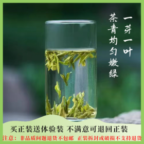 【2024新茶】杭州野放茶园 龙井茶100g 荒野韵味 生态龙井 预售 5月5号左右发货