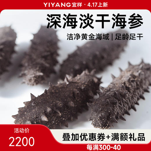 宜样新滋补 海参干货3款可选山东威海淡干海参刺参底播海参220g/盒 商品图0