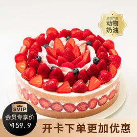 会员特惠159.9元起【超多草莓】香颂蛋糕，满满的草莓吃到爽，轻松治愈负能量（上海幸福西饼蛋糕）