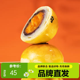 【品牌直发】轩妈蛋黄酥55g*6枚   包邮