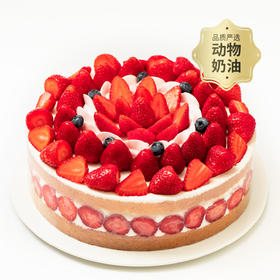 【超多草莓】香颂蛋糕，满满的草莓吃到爽，轻松治愈负能量（全国正价链接）