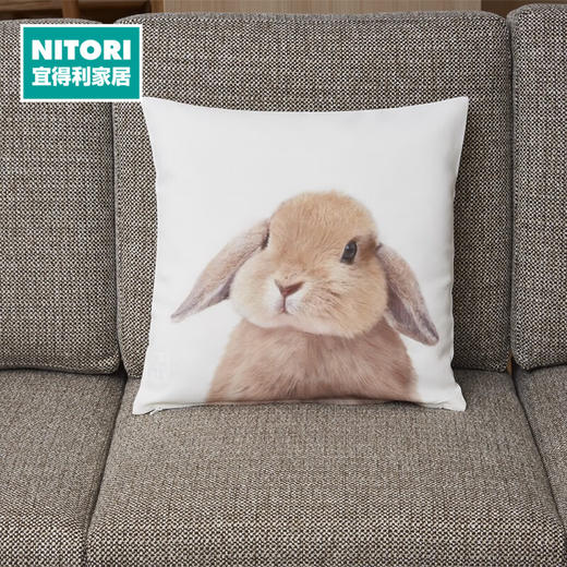靠垫套 垂耳兔SC029 约45*45cm 商品图0