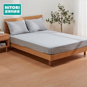 床笠 针织天竺棉 GY 双人