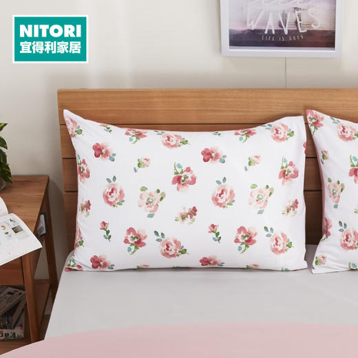 全棉枕套 Rosa2 对应枕头尺寸约50×70cm 商品图0