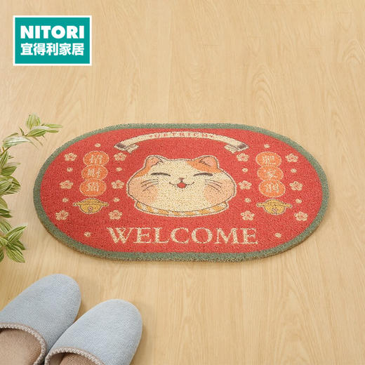 室外门垫 肥家润 商品图0