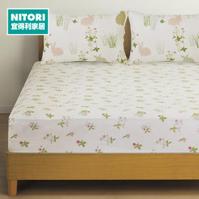 床笠 丛林迷踪 单人约120*200cm/双人约150*200cm/大双人约180*200cm