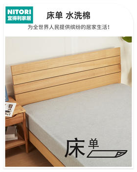 床单 水洗棉 DGY 特大双人