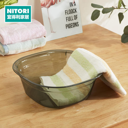 PET透明脸盆S 绿色 商品图0