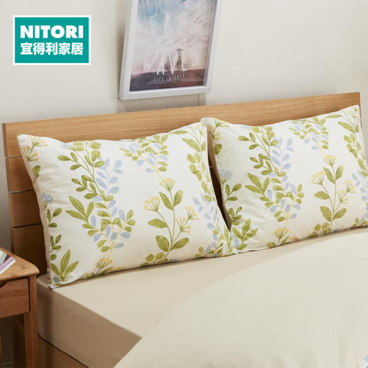 枕套 兰苍 约70*50cm 纯棉 1个装 商品图0