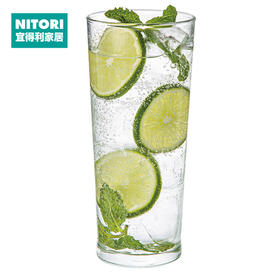 钢化玻璃杯2只装 425ML EP425