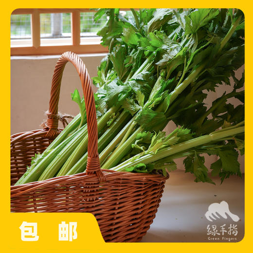生态大理西芹（中通）| 合作生产 * Eco-celery | Coproduction 商品图1