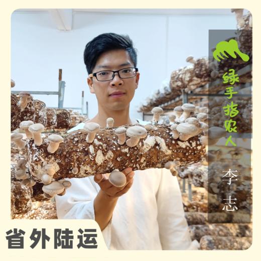 野生蕨菜干 | 绿家自产 * ecological fiddlehead | In-House Production 商品图1