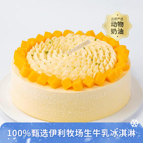 【伊利牧场冰淇淋蛋糕】芒芒雪山-全新伊利牧场冰淇淋夹心可选，新鲜芒果+冰淇淋夹心动物奶油蛋糕（昆明+安宁幸福西饼蛋糕）