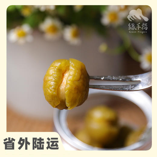 生态甜青梅 | 绿家自产 * Eco-green plum  | Self-production 商品图0