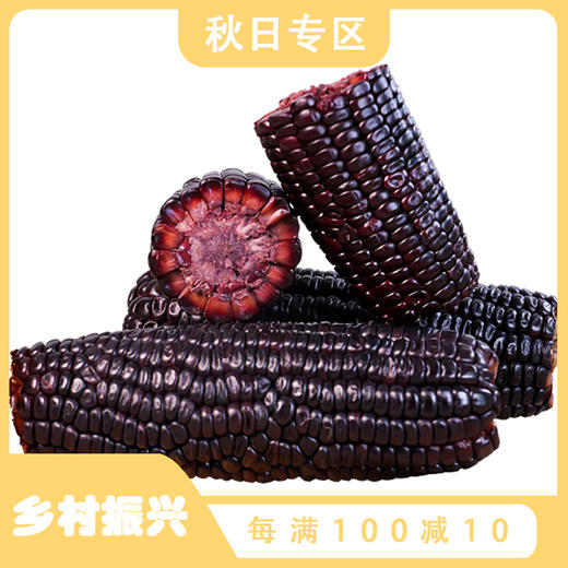 【好物推荐】山西黑珍珠糯玉米买8送2根（200g/根） 商品图0