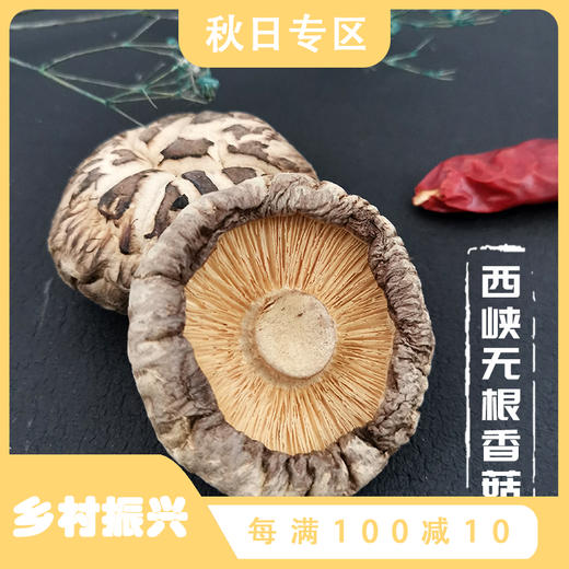 【西峡无根香菇250g装】花纹自然西峡菇 肉质无海绵感 口感脆嫩 爽滑当季生鲜水果蔬菜干货 商品图0