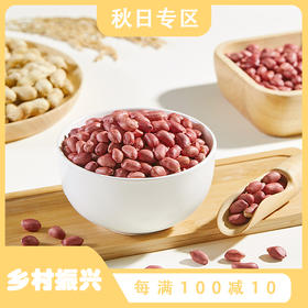 燕之坊红皮花生仁吉林白城饱满355g 真空包装 可干吃煮粥做菜