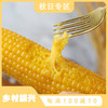 【山西好物】金糯玉米  220g*8根 商品缩略图0