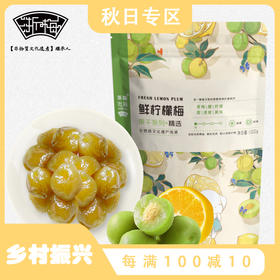 浙梅鲜柠檬梅100g*3袋蜜饯干果青梅孕妇酸梅休闲零食话梅干