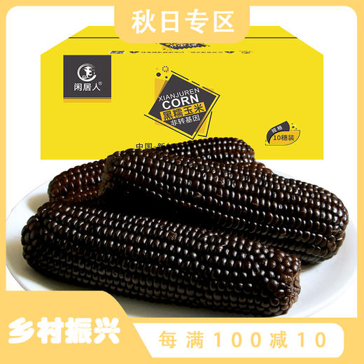 东北鲜糯黑玉米10穗 2kg/箱 新鲜玉米 东北玉米杂粮|绿色食品 亚布力米面粮油系列 商品图0