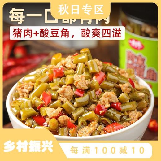 肉沫豇豆香辣酸豆角肉沫红油肉末下饭菜瓶装njtc08 商品图0