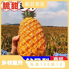 【新鲜应季！海南金钻凤梨】果肉丰厚 汁水充盈 酸甜可口 菠萝每颗香甜多汁 令人回味无穷