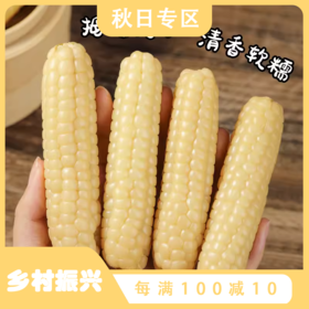 西双版纳拇指玉米 软糯弹牙  非转基因 1kg/袋