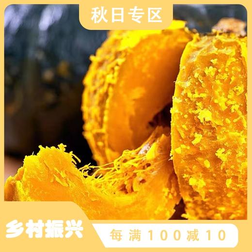 【云南.贝贝南瓜】果形饱满，粉糯香甜，口感好，热量低，营养美味 商品图0