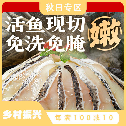 活鱼现切黑鱼片250g【叮叮懒热菜】 鱼片加量火锅水煮新鲜半成品少刺食材 商品图0