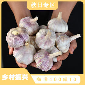 【5斤更值！山东新鲜十足干蒜】舌尖上的美味食材 农家自种 肉质白嫩 蒜味浓郁 干大蒜白皮 辛辣 颗粒饱满