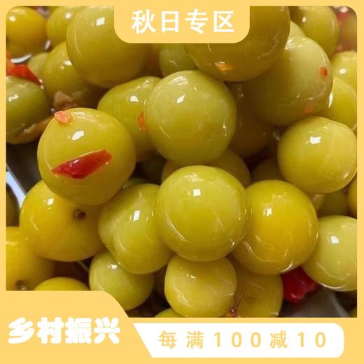 【送辣椒粉，广西特产嘎嘣脆甜味脆李】酸酸甜甜超好吃，酸泡李子酸甜脆李子，三月李水果新鲜芒果桃子腌制酸嘢QQ 商品图0