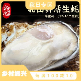 【北海湾】乳山生蚝鲜活海蛎子4斤装（3-4个/斤，实惠好吃）